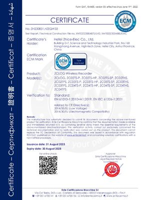 Zhice-elec ZC02TPS беспроводной регистратор данных температуры и давления для холодильного автоклава